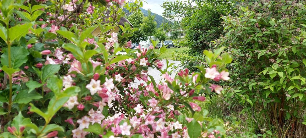 Camping Bella Austria Sankt Peter am Kammersberg Eksteriør bilde