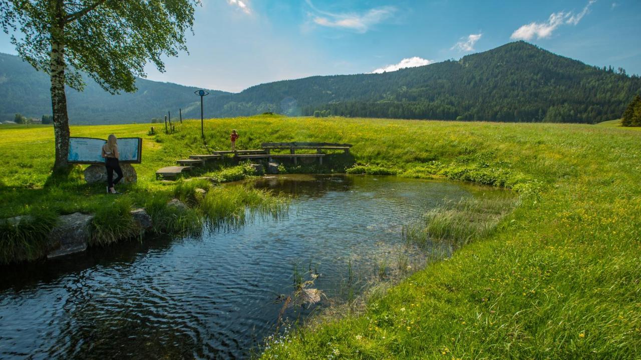 Camping Bella Austria Sankt Peter am Kammersberg Eksteriør bilde